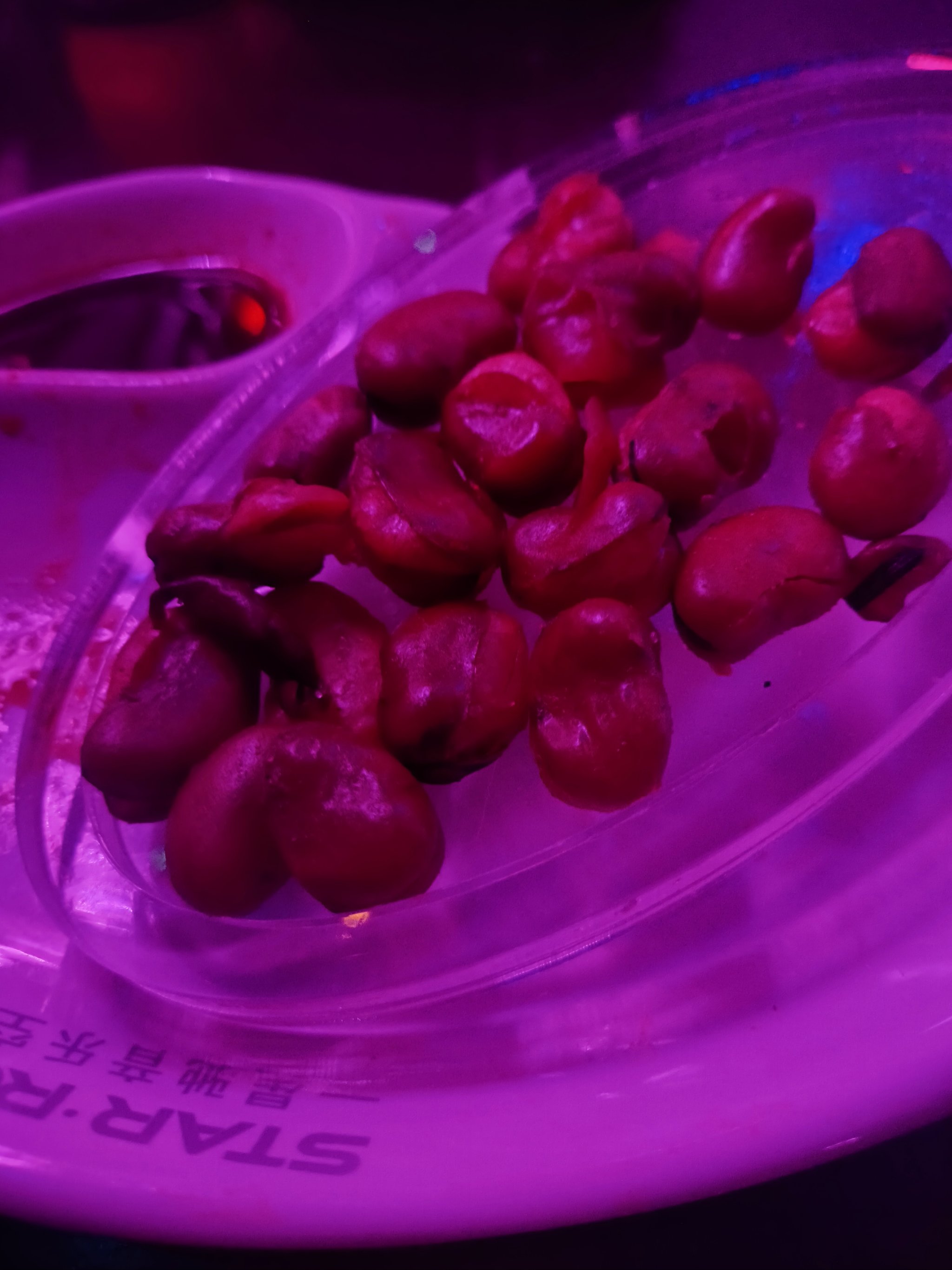 乐山商务ktv推荐低端场商务ktv精选-金口河区ktv预定